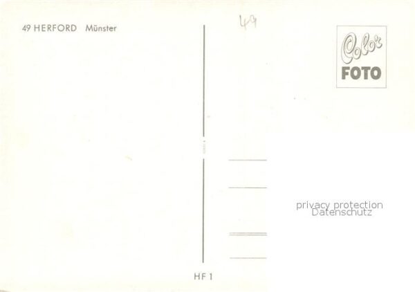 Herford Münster – Bild 2