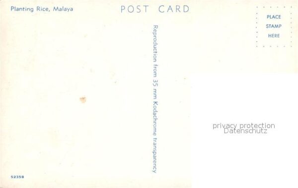 Malaya Malaysia Planting Rice – Bild 2