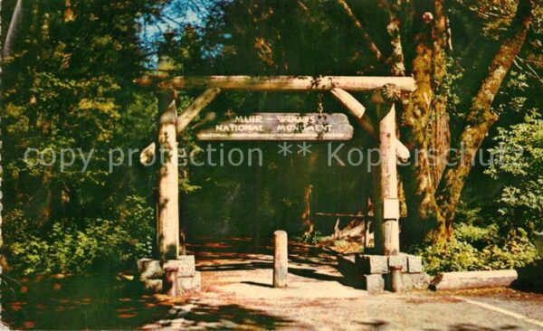 Mill Valley Gateway to Muir Woods National Monument