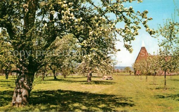 Kent Spring Time