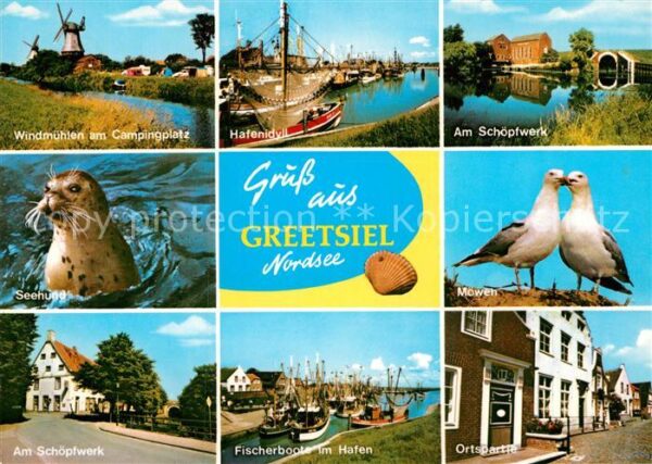 Greetsiel Winmühlen Hafen Schöpfwerk Seehund Möwe