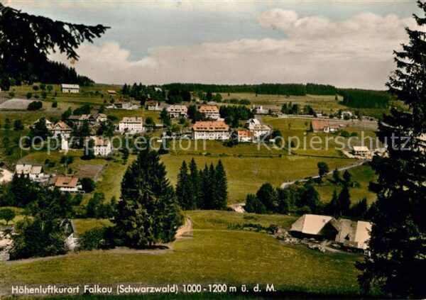 Falkau Panorama