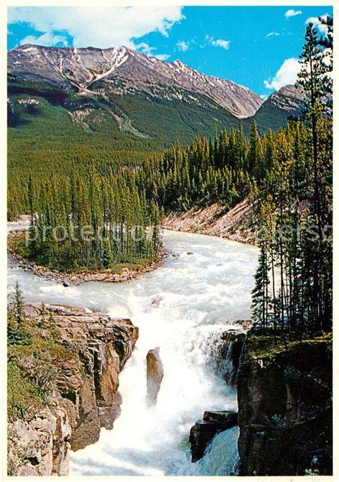 Jasper Alberta Sunwapta Falls