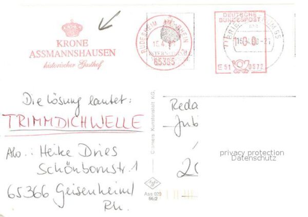 Assmannshausen Krone Historischer Gasthof Uferpartie a – Bild 2