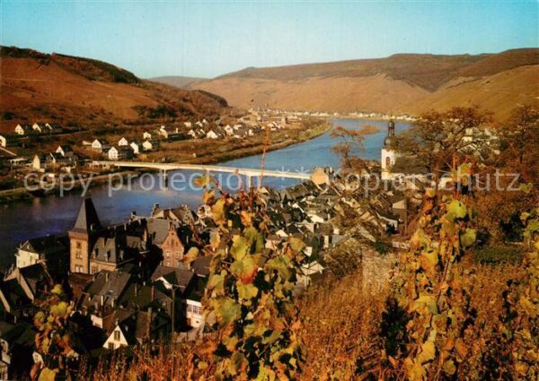 Zell Mosel Panorama Weinberge