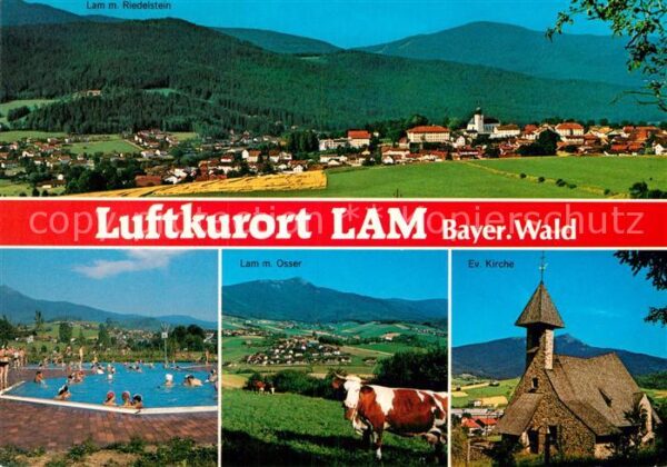 Lam Oberpfalz Panorama Freibad Viehweide Kühe Kirche
