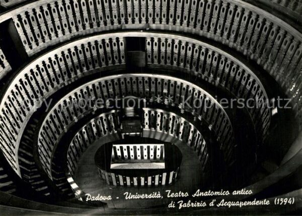 Padova Universita Teatro Anatomico antico di F