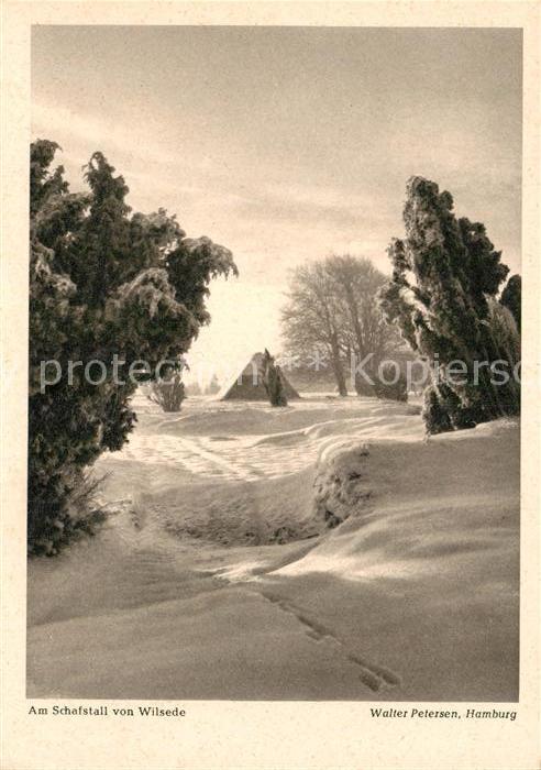 Wilsede Lueneburger Heide Winterlandschaft am Schafstall Jahrweis