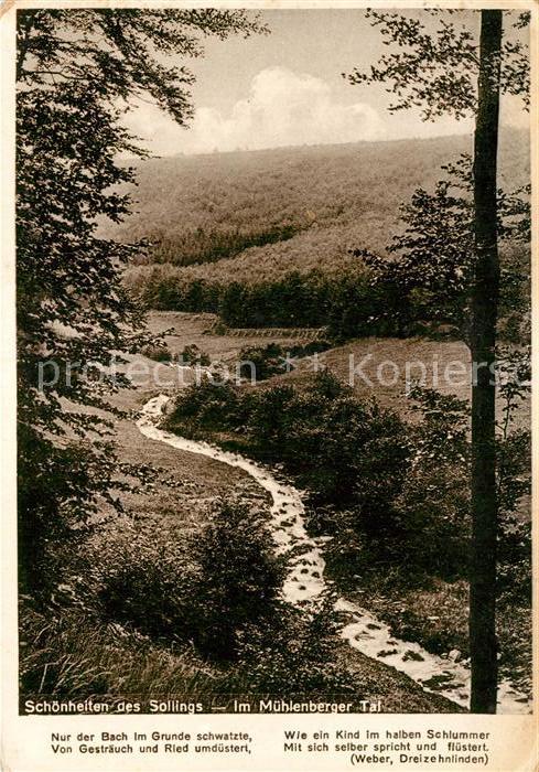 Muehlenberg Holzminden Landschaftspanorama Mühlenberger Tal Se