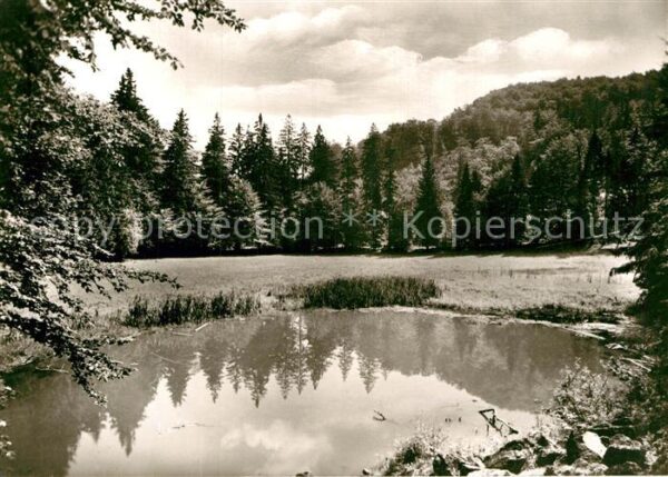 Hausen Witzenhausen Weiher Berggasthaus Hoher Meissner Wald