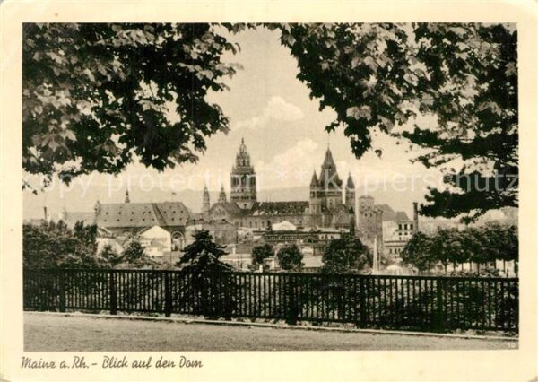 Mainz Rhein Blick auf den Dom