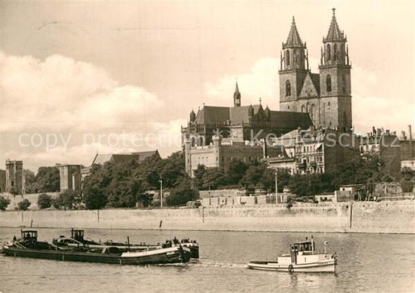 Magdeburg Blick über die Elbe auf den Dom Frachtk