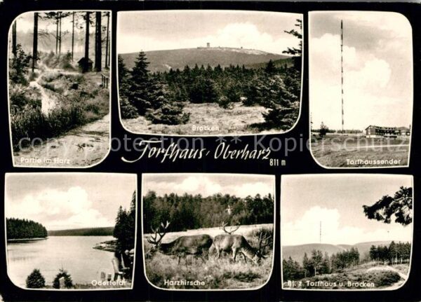 Torfhaus Harz Waldpartie Landschaftspanorama Torfhaus