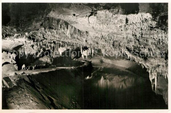 Hoehlen Caves Grottes Han-sur-Lesse Salle des Draperies