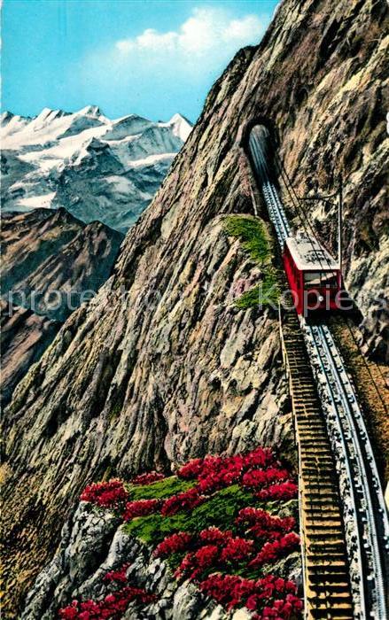 Zahnradbahn Pilatusbahn Eselwand Berneralpen
