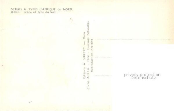 Kamel  Camel Chameau Afrique du Nord – Bild 2