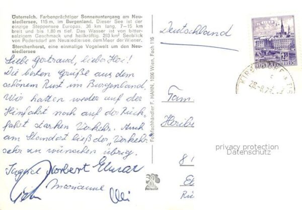 Storch Neusiedlersee Burgenland – Bild 2