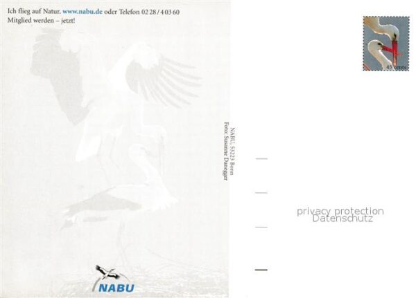 Storch – Bild 2