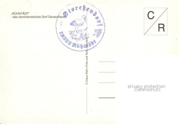 Storch Rühstädt – Bild 2