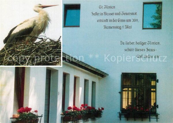 Storch Wendenhof Töpchin