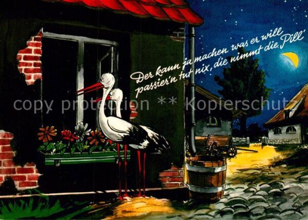 Storch Humor