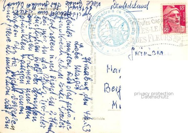 Storch Strasbourg Nid de Cigognes – Bild 2