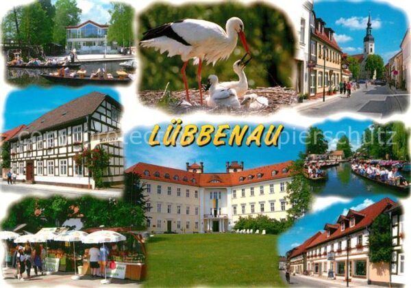 Storch Lübbenau Spreewald Rathaus