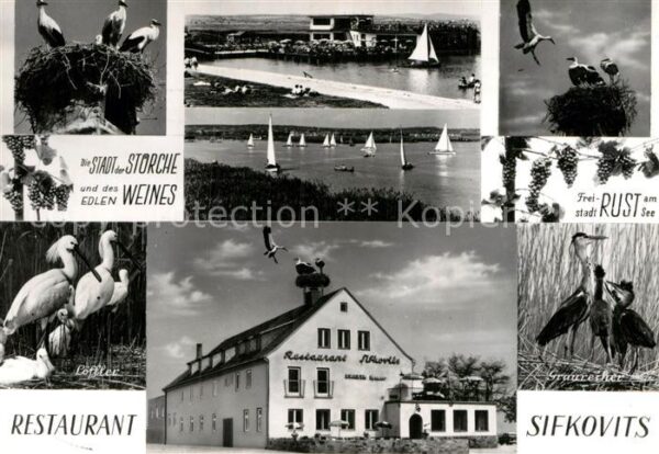 Storch Restaurant Sifkovits Rust Neusiedlersee