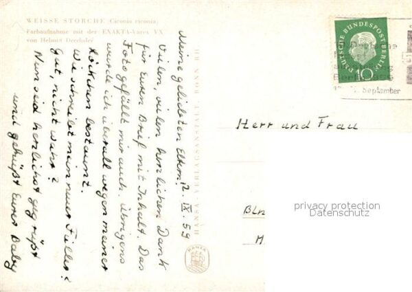 Storch Weisse Störche – Bild 2