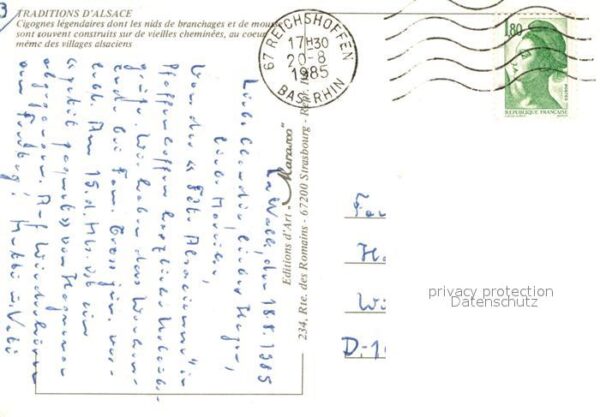 Storch Alsace – Bild 2