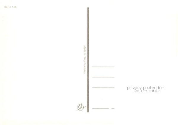 Storch Storchennest – Bild 2
