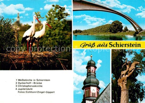 Storch Schierstein Dyckerhoff-Brücke Christoph