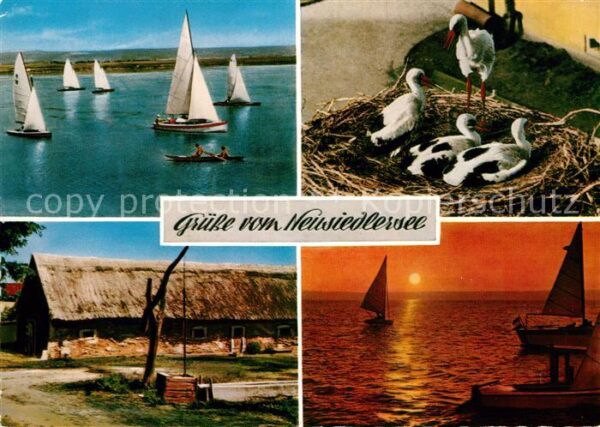 Storch Neusiedlersee Segelboote