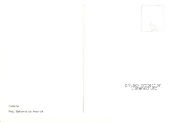 Storch – Bild 2