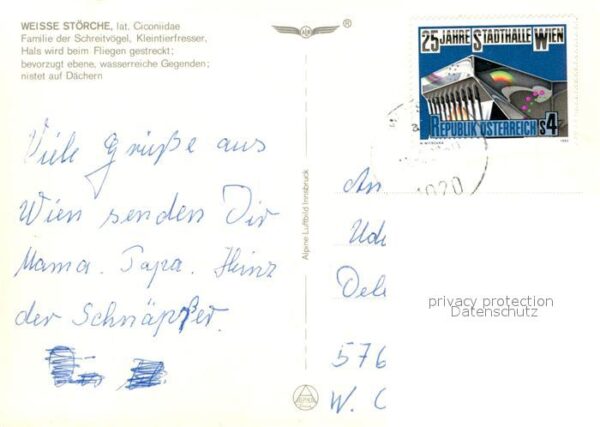 Storch Weisse Störche Storchennest – Bild 2