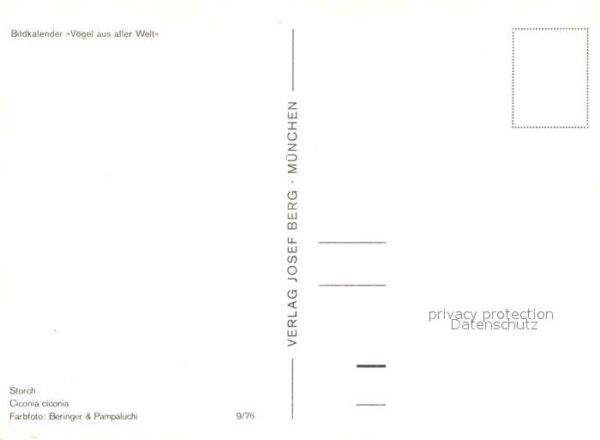 Storch – Bild 2