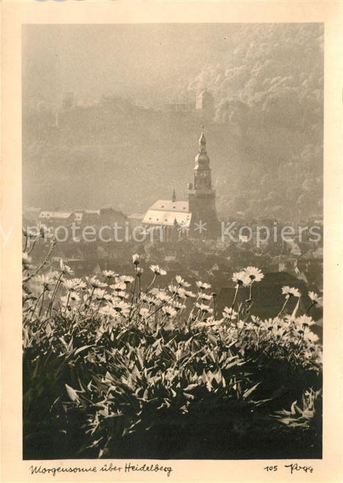 Foto Popp Nr. 105 Morgensonne über Heidelberg