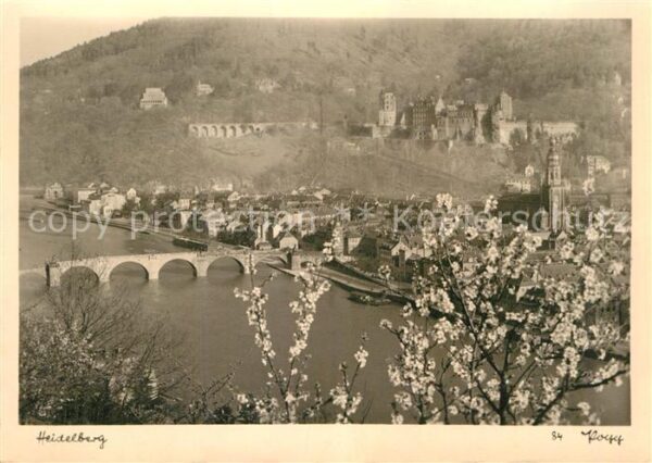 Foto Popp Nr. 84 Heidelberg