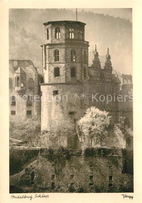 Foto Popp Nr. Heidelberg Schloss