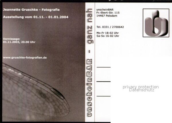 Krokodile – Bild 2
