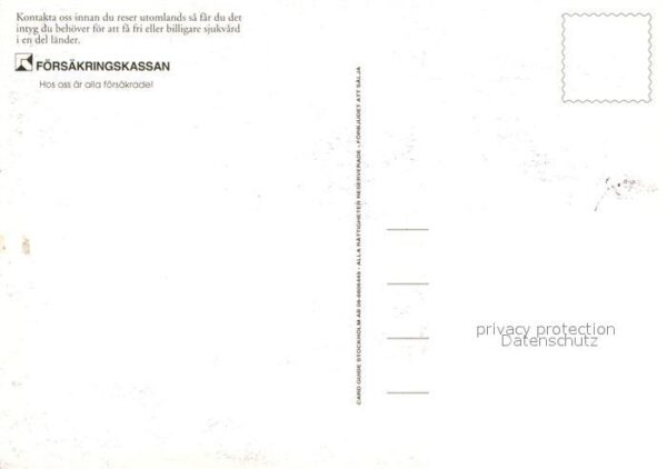 Krokodile – Bild 2