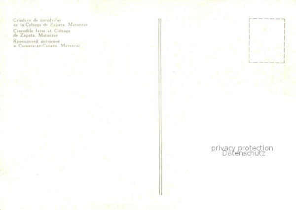 Krokodile Criadero de Cocodrilos Cienaga de Zapat – Bild 2