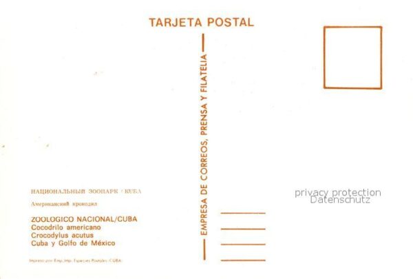 Krokodile Zoologico Nacional Cuba Cocodrilo Ameri – Bild 2