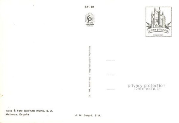 Krokodile Safari Ruhe Mallorca Espana – Bild 2