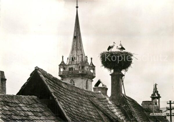 Storch Obernai Nid de Cigognes