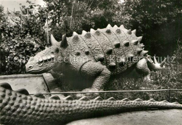 Dinosaurier Kleinwelka Saurierparkanlage Ankylosaur