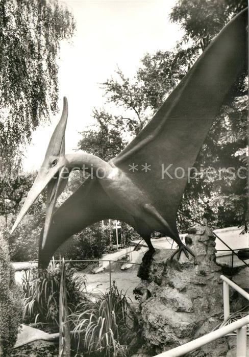 Dinosaurier Pteranodon Kleinwelka Saurierparkanlage