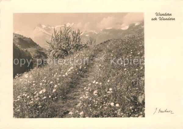Verlag Wiechmann Nr. 628 Foto-Karte Wandern