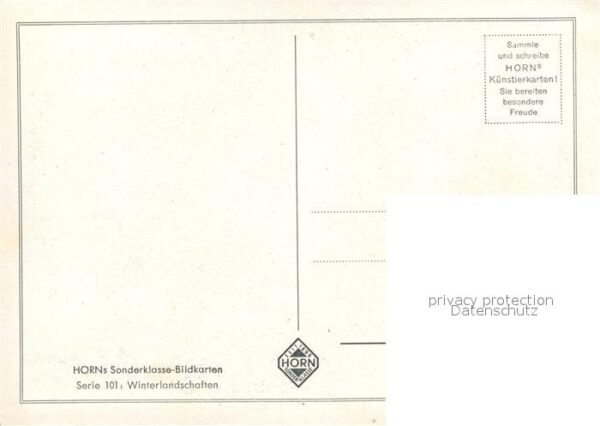 Ski-Langlauf Künstler-Foto König – Bild 2