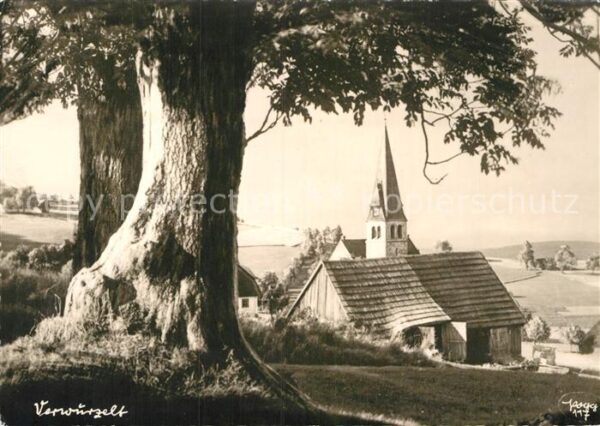 Foto Popp Nr. 117 Verwurzelt